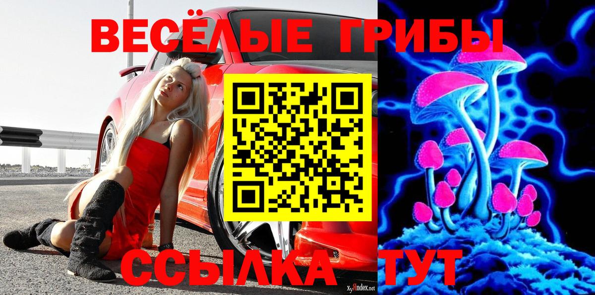 Галлюциногенные грибы GOLDEN TEACHER  Вход с VPN  Псилоцибиновые грибы Magic Shrooms  Севастополь 